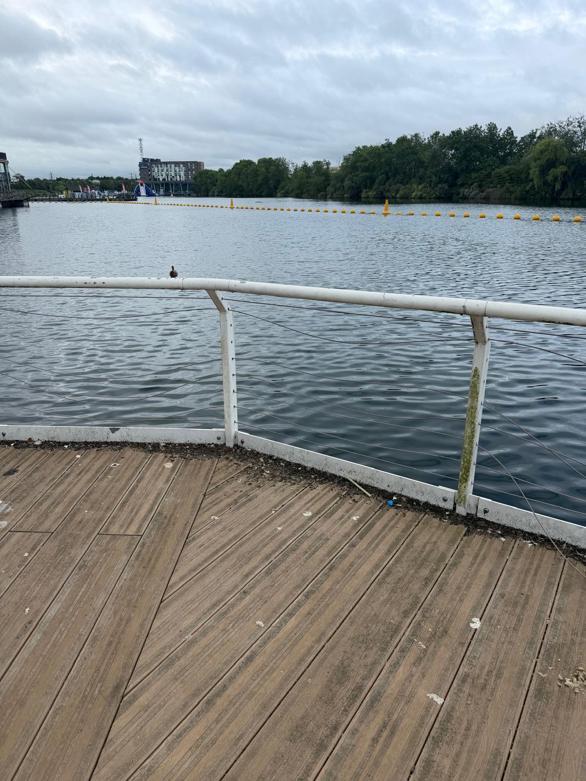 Completed safety wire balustrade on a curved timber deck overlooking a lake
