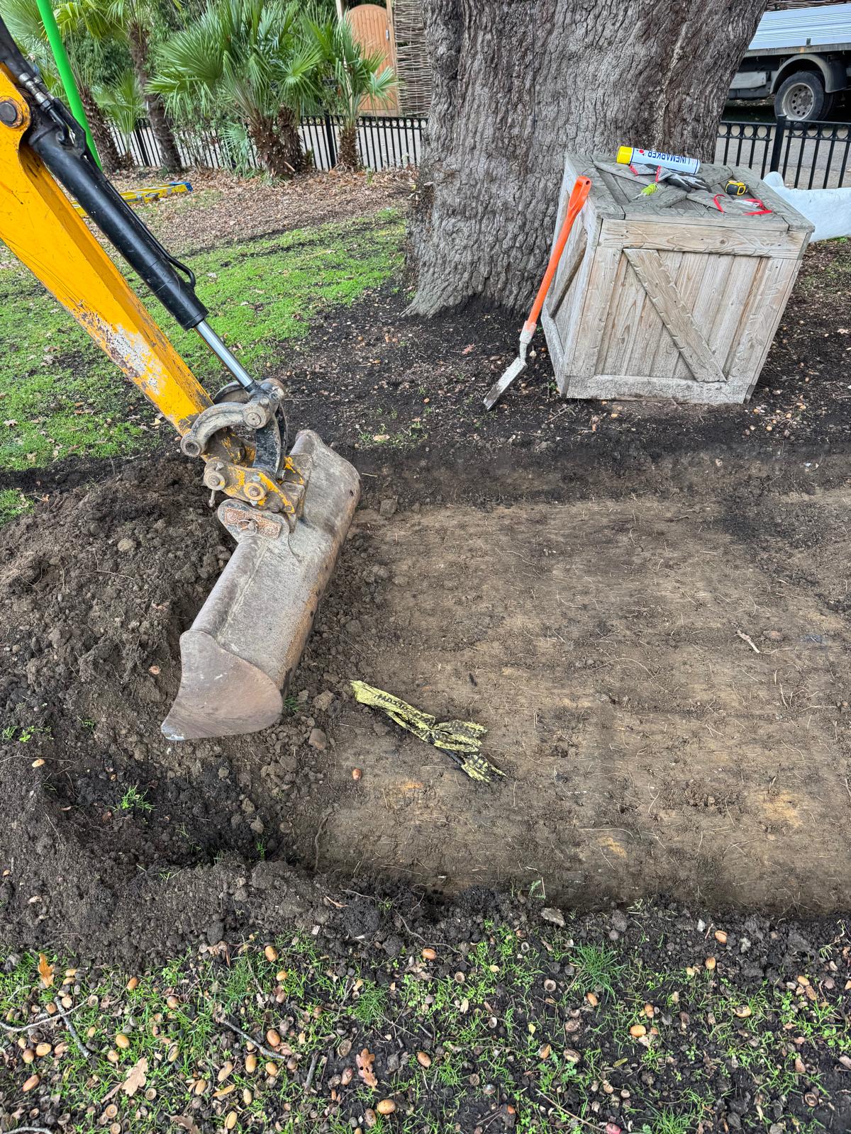 Yellow excavator bucket forming a level earth base for a new pedestrian path around a mature oak
