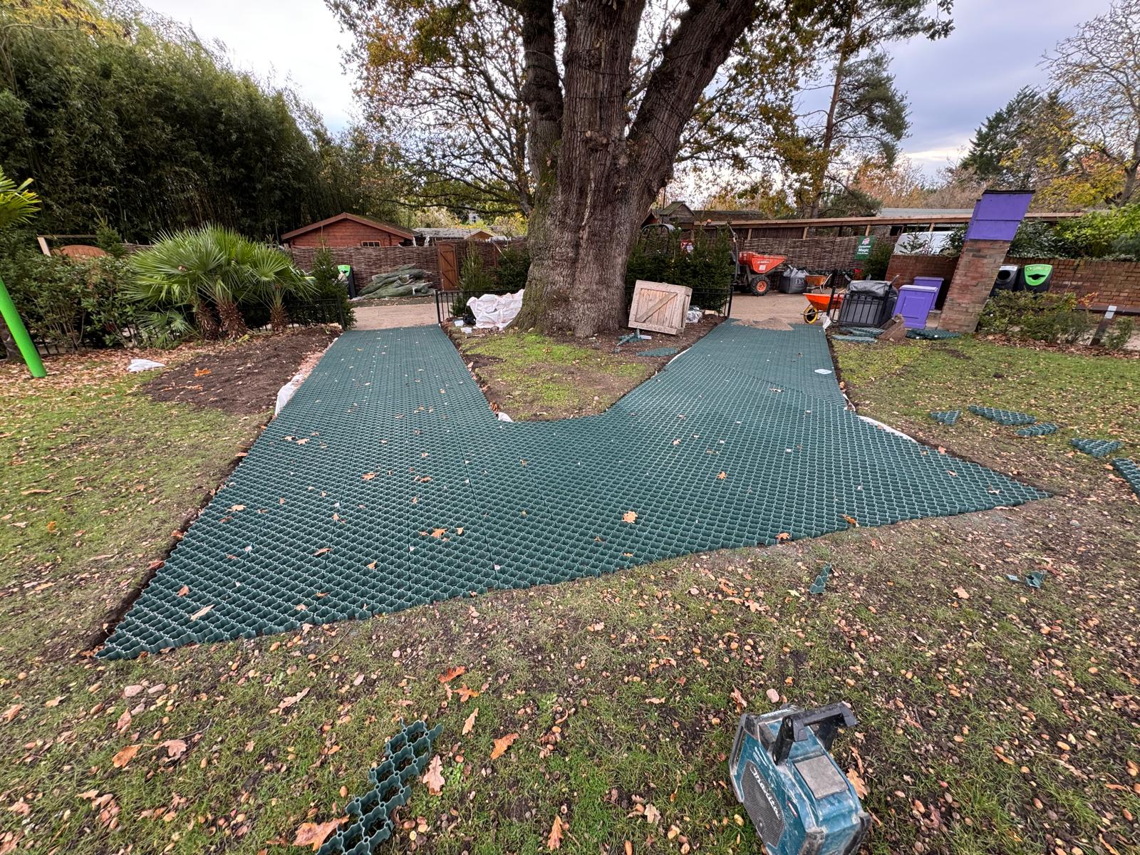 Y-shaped public footpath of grass reinforcement grids wrapping around a large tree